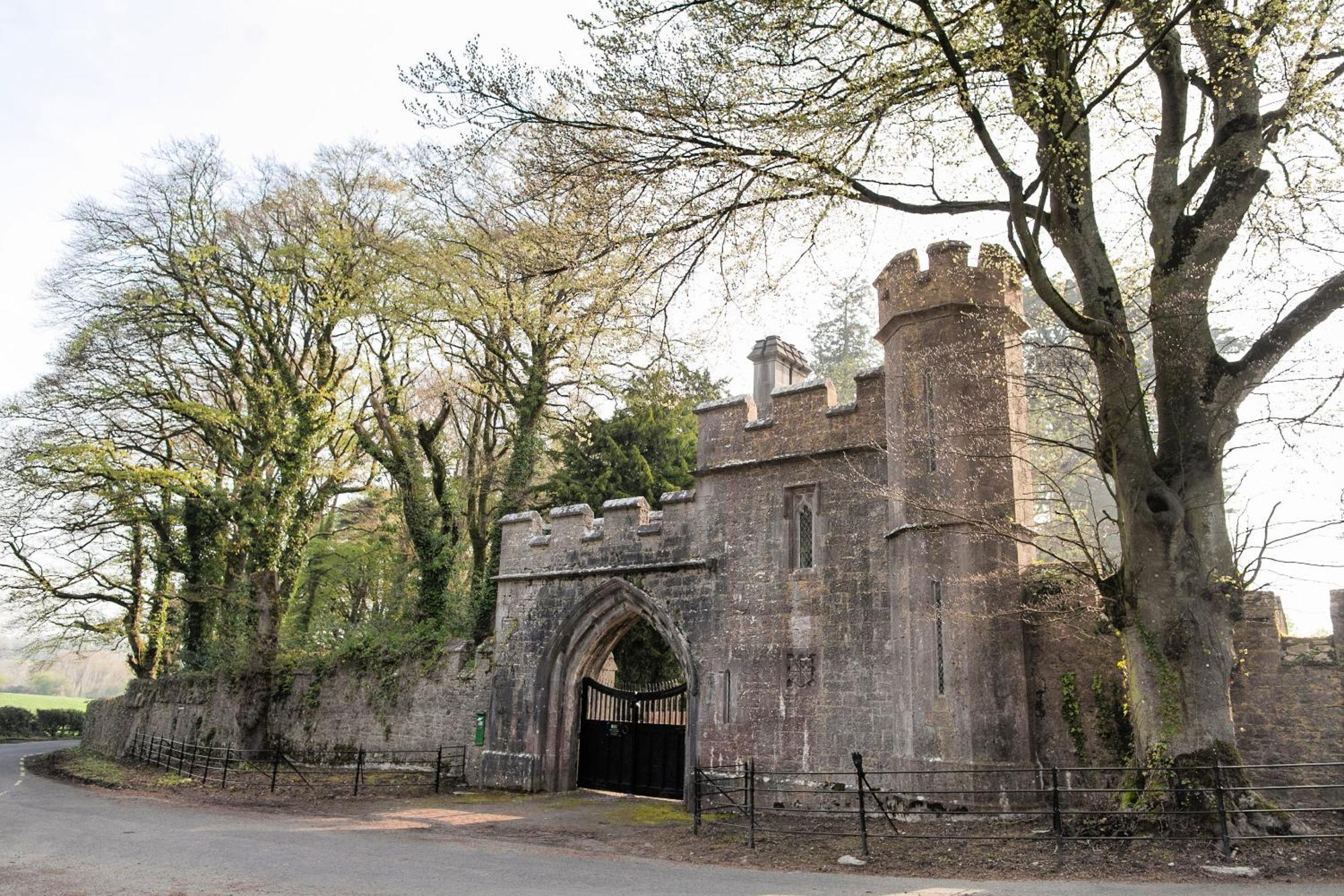Villa Anne'S Grove Miniature Castle à Castletownroche Extérieur photo